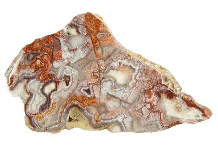 Polished Crazy Lace Agate Section - Mexico #335035